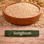 Sorghum